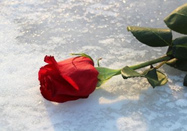 Il 27 gennaio, Giorno della Memoria.